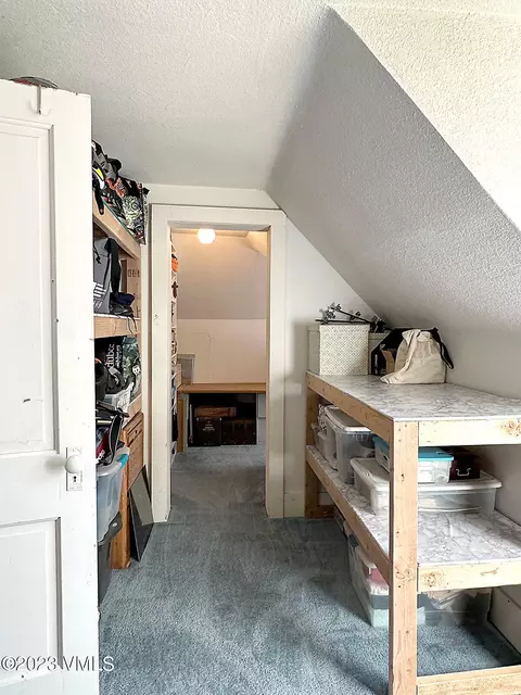 710 Bull Run, Eagle, CO 81631 photo 37