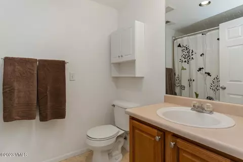 32 Chelsea Ct, Eagle, CO 81631 photo 23
