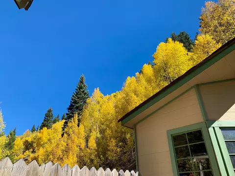 596 Eagle St, Red Cliff, CO 81649 photo 7