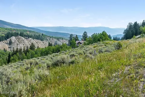 534 Graham Rd, Edwards, CO 81632 photo 6