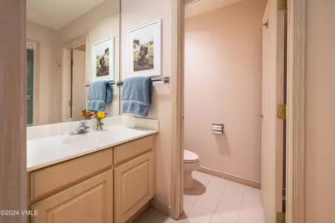 770 Potato Patch Dr #A, Vail, CO 81657 photo 18