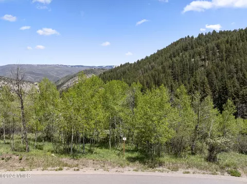 1243 Red Draw, Edwards, CO 81632 photo 4