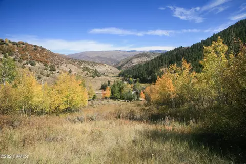1243 Red Draw, Edwards, CO 81632 photo 12