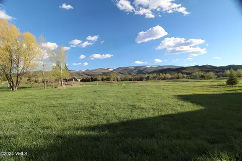 169 Robins Egg, Eagle, CO 81631 photo 14