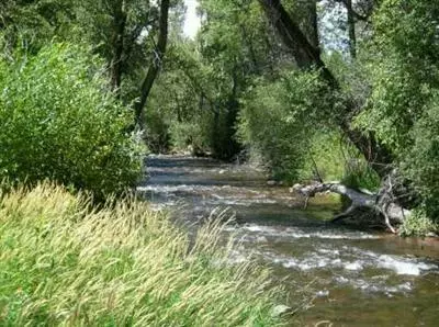 3 Deep Eddy Cove Cir, Eagle, CO 81631 photo 4