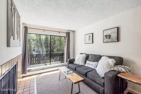 442 S Frontage Rd E #A205, Vail, CO 81657 photo 4