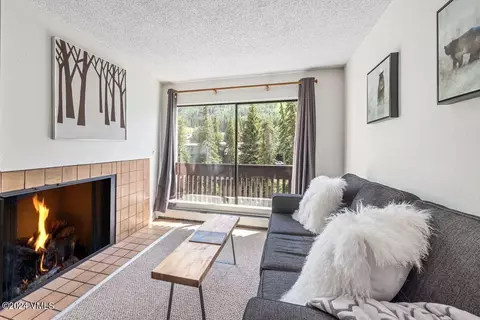 442 S Frontage Rd E #A205, Vail, CO 81657 photo 5