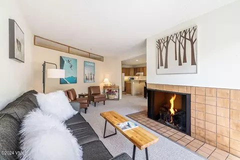 442 S Frontage Rd E #A205, Vail, CO 81657 photo 6