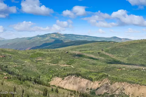 449 Black Bear Trl, Edwards, CO 81632 photo 9