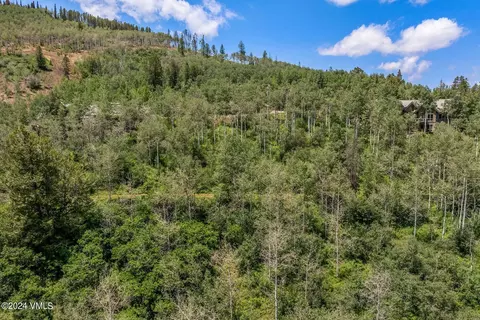 449 Black Bear Trl, Edwards, CO 81632 photo 4