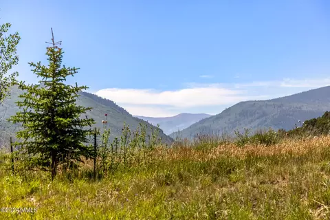 333 Hunters View Ln, Eagle, CO 81631 photo 20