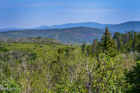 907 Webb Peak, Edwards, CO 81632 photo 3