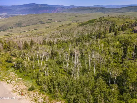 907 Webb Peak, Edwards, CO 81632 photo 12