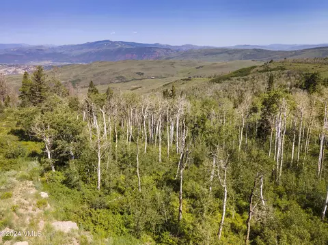 907 Webb Peak, Edwards, CO 81632 photo 13