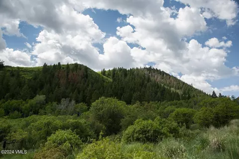 0429 Squires Ln, Eagle, CO 81631 photo 7