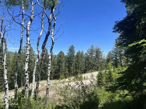 176 Sunquist Rd, Edwards, CO 81632 photo 7