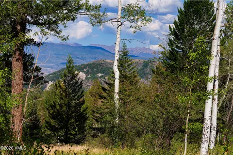 75 Red Draw, Edwards, CO 81632 photo 2
