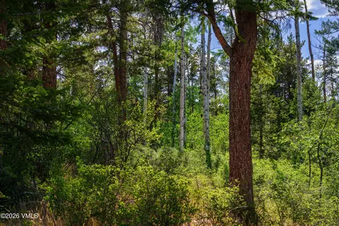 75 Red Draw, Edwards, CO 81632 photo 19