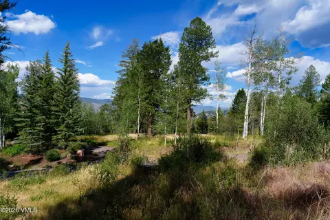 75 Red Draw, Edwards, CO 81632 photo 3