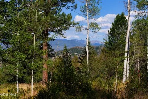 75 Red Draw, Edwards, CO 81632 photo 18