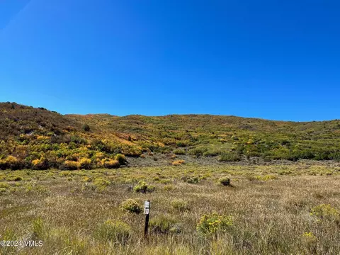 0089 Borah Spur, Eagle, CO 81631 photo 5