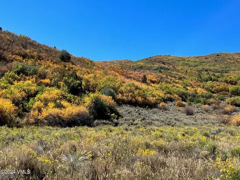 0089 Borah Spur, Eagle, CO 81631 photo 3