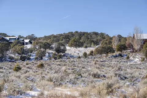 827 Hernage Creek Rd, Eagle, CO 81631 photo 16