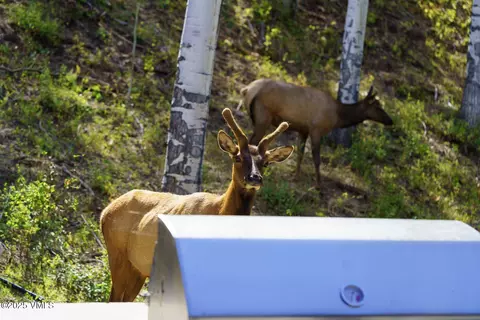 Other - 880 Forest Trl, Edwards, CO 81632 photo 15 of 26