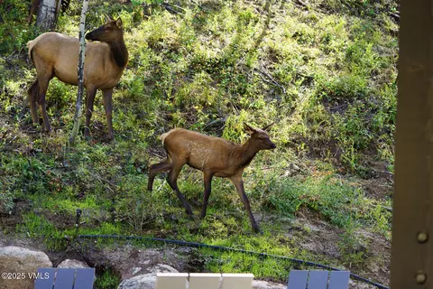 Other - 880 Forest Trl, Edwards, CO 81632 photo 14 of 26