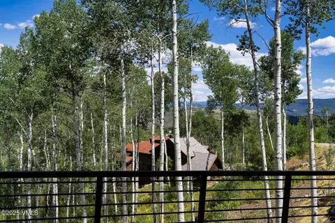Other - 880 Forest Trl, Edwards, CO 81632 photo 8 of 26