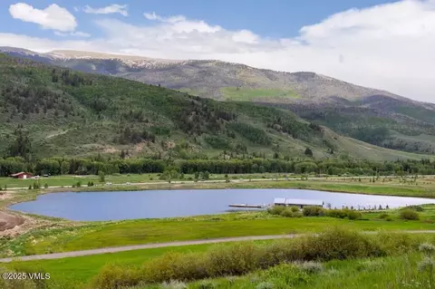 42 E Benjamin Pt, Silverthorne, CO 80498 photo 53