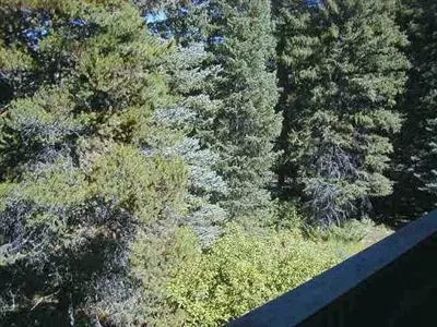 595 Vail Valley Dr #E221, Vail, CO 81657 photo 7