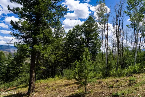 Other - 171 Sunquist Rd, Edwards, CO 81632 photo 9 of 30