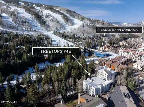 Other - 452 E Lionshead Cir #4E, Vail, CO 81657 photo 6 of 7
