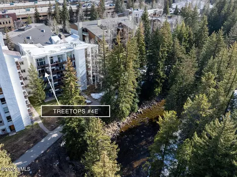 Other - 452 E Lionshead Cir #4E, Vail, CO 81657 photo 2 of 7