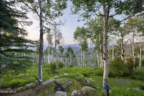 273 Bearden Rd, Edwards, CO 81632 photo 27