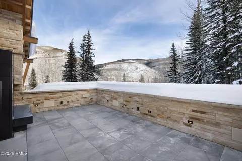 Other - 366 Forest Rd, Vail, CO 81657 photo 9 of 18