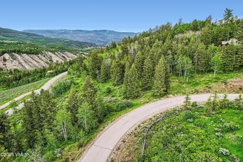314 Graham Rd, Edwards, CO 81632 photo 11