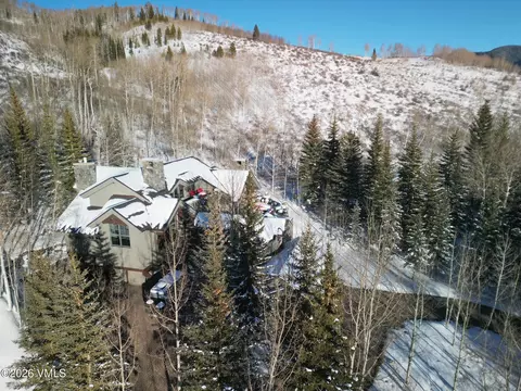 Other - 780 Potato Patch Dr, Vail, CO 81657 photo 10 of 13