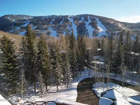Other - 780 Potato Patch Dr, Vail, CO 81657 photo 12 of 13
