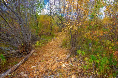 1950 Eby Creek Rd, Eagle, CO 81631 photo 29