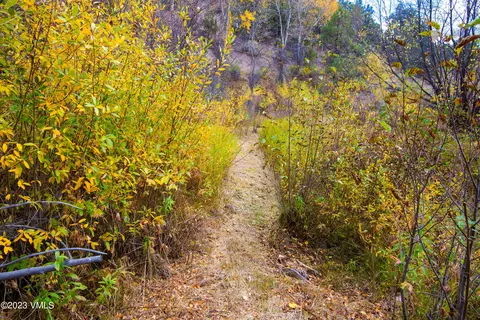 1950 Eby Creek Rd, Eagle, CO 81631 photo 28