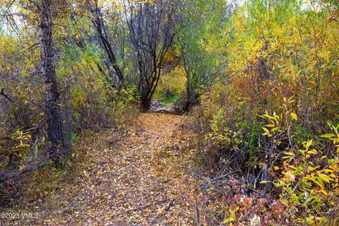 1950 Eby Creek Rd, Eagle, CO 81631 photo 25