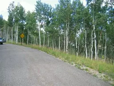 1069 Forest, Edwards, CO 81632 photo 3