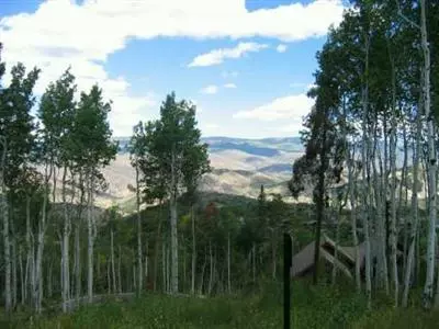 1069 Forest, Edwards, CO 81632 photo 2