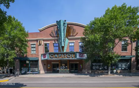 1140 Capitol St #201, Eagle, CO 81631 photo 25