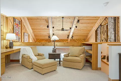 62 E Meadow Dr #301 & 201, Vail, CO 81657 photo 26
