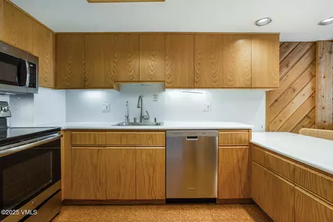 62 E Meadow Dr #301 & 201, Vail, CO 81657 photo 13