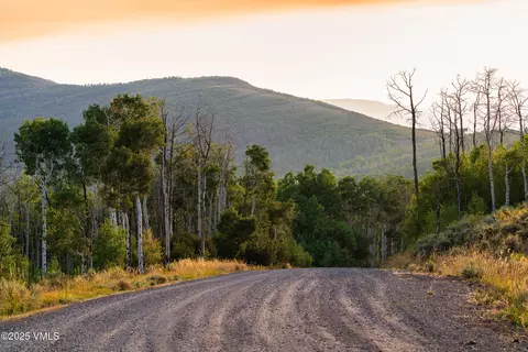 tbd Diamond Star Ranch Rd, Eagle, CO 81631 photo 3