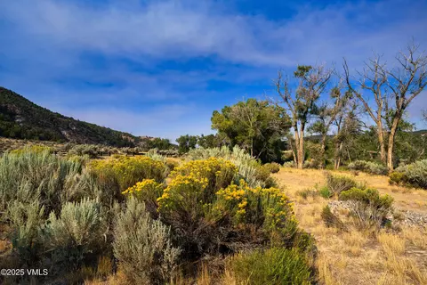 1633 W Diamond Star Rd, Eagle, CO 81631 photo 13